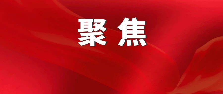 推动国有企业在建设现代化产业体系、构建新发展格局中发挥更大作用